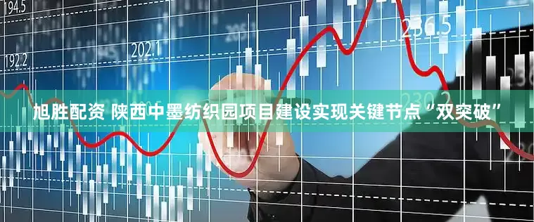 旭胜配资 陕西中墨纺织园项目建设实现关键节点“双突破”