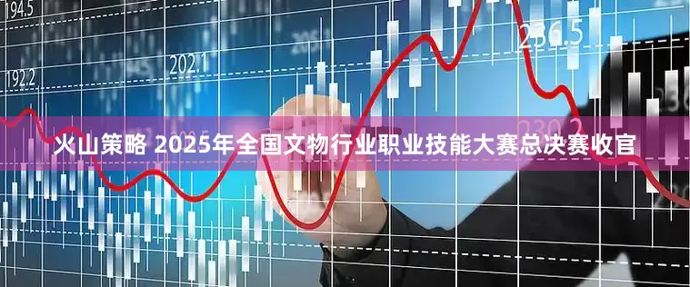 火山策略 2025年全国文物行业职业技能大赛总决赛收官