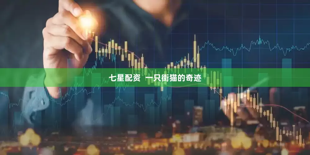 七星配资  一只街猫的奇迹