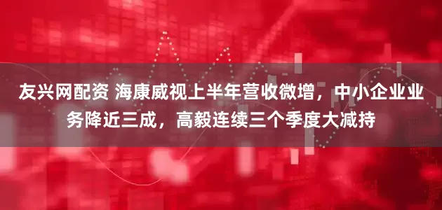 友兴网配资 海康威视上半年营收微增，中小企业业务降近三成，高毅连续三个季度大减持