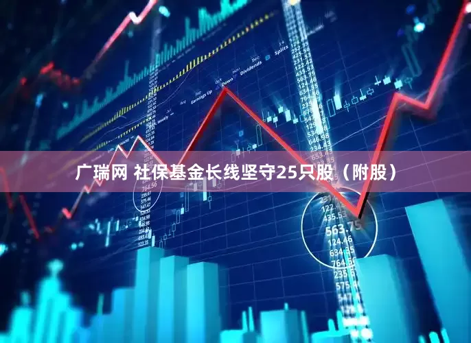广瑞网 社保基金长线坚守25只股(附股)