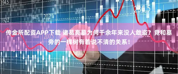 传金所配资APP下载 诸葛亮墓为何千余年来没人敢盗?竟和墓旁的一棵树有着说不清的关系!